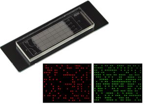 多靶標(biāo)腫瘤標(biāo)志物高靈敏檢測(cè)的微納生物傳感器件研制成功